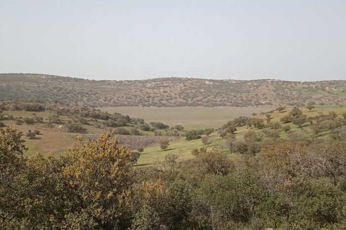 Maar del Acebuche, Macizo de Calatrava.