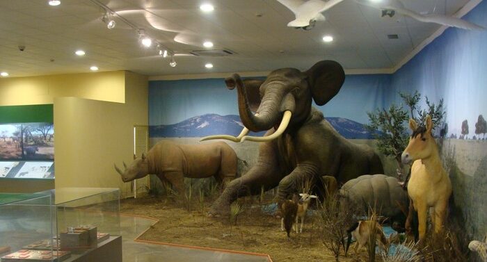 LAS HIGUERUELAS EN EL MUSEO PROVINCIAL DE CIUDAD REAL 1MAR