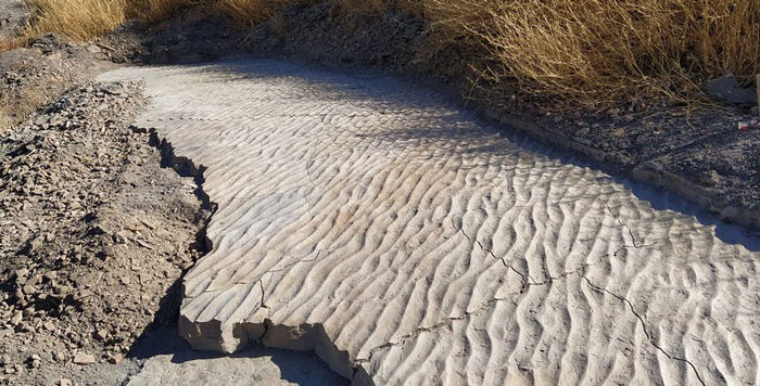 CERRO DE SAN SEBASTIÁN: Una historia de 485 millones de años. 28FEB