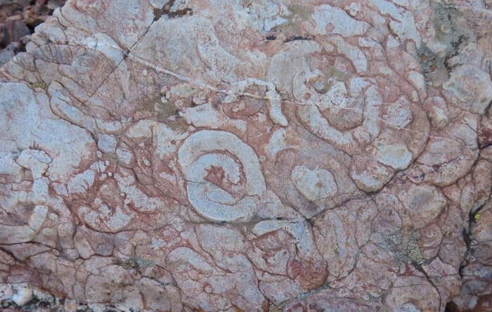 CERRO DE SAN SEBASTIÁN: Una historia de 485 millones de años. 28FEB