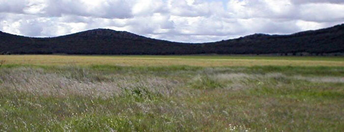 VOLCÁN DE PEÑARROYA Y PUENTE DE LAS OVEJAS 14FEB