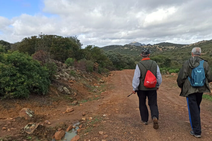 EL VALLE Y LAS HECTAREAS